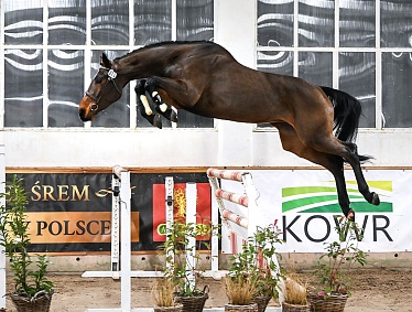 skoki luzem 2025 DSC 9234